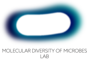 Molecular Diversity of Microbes Lab