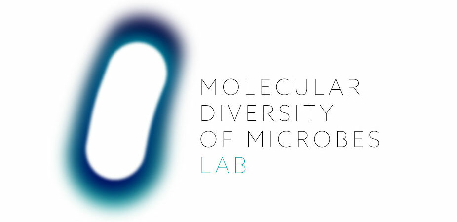 Molecular Diversity of Microbes Lab